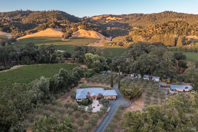 birds eye view of property with a mountain view and a rural view