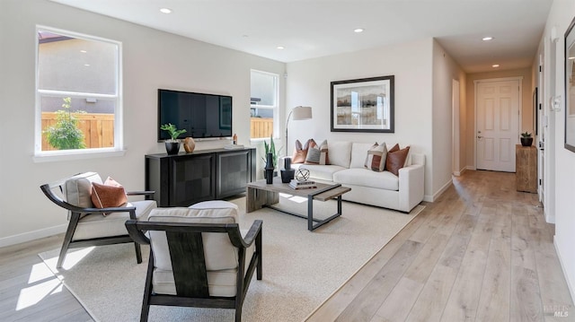 living room featuring a healthy amount of sunlight and light hardwood / wood-style flooring