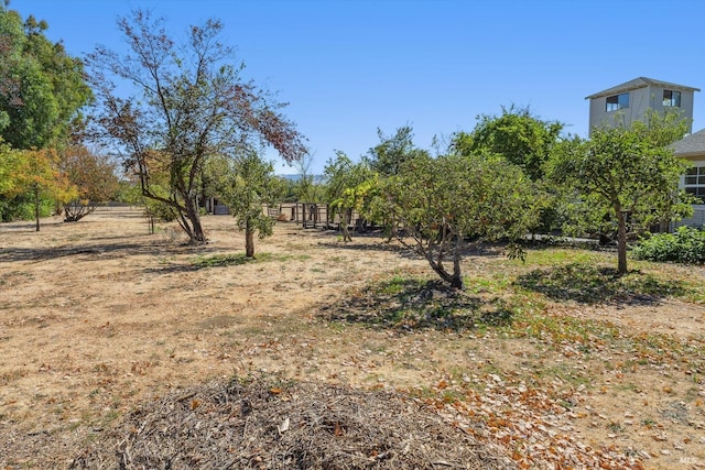 view of yard featuring a rural view