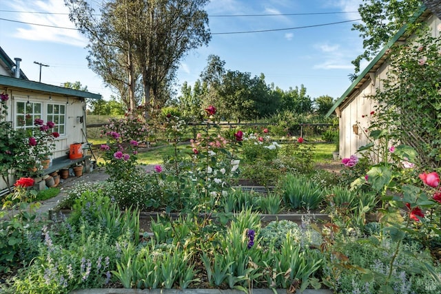 4344 Langner Ave, Santa Rosa, CA 95407 - view of yard with fence