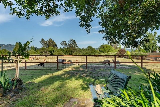 view of yard with a rural view