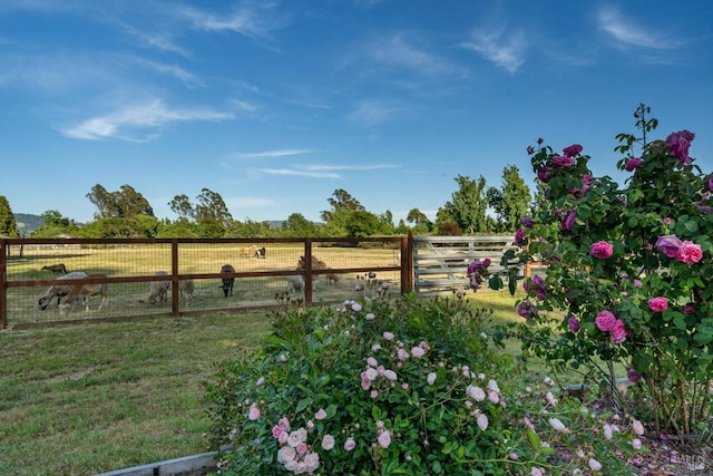4344 Langner Ave, Santa Rosa, CA 95407 - view of yard with fence and a rural view