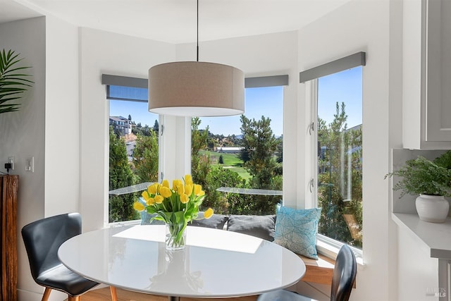 dining space with a wealth of natural light