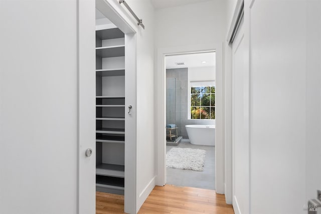 hallway with a barn door and hardwood / wood-style floors