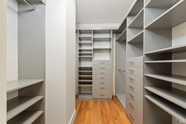 walk in closet featuring light hardwood / wood-style flooring