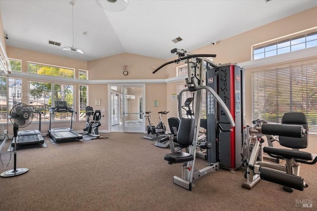 exercise room with lofted ceiling and carpet