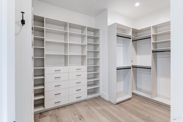 spacious closet with light wood-type flooring