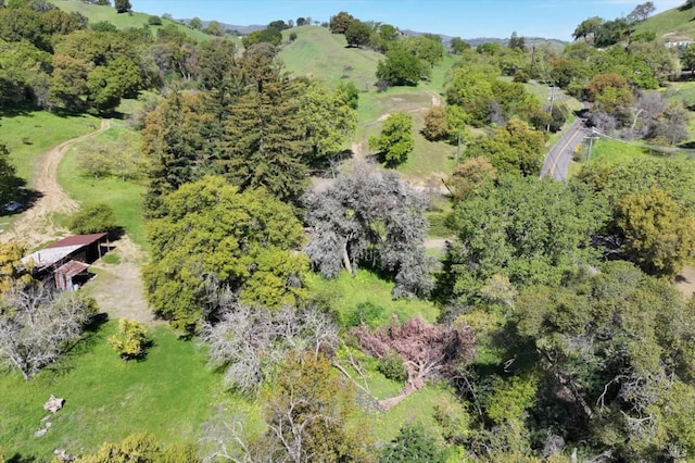 drone / aerial view with a forest view