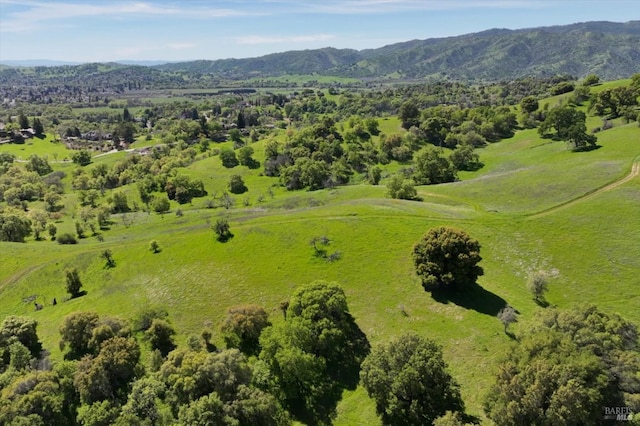 drone / aerial view featuring a mountain view and a view of trees