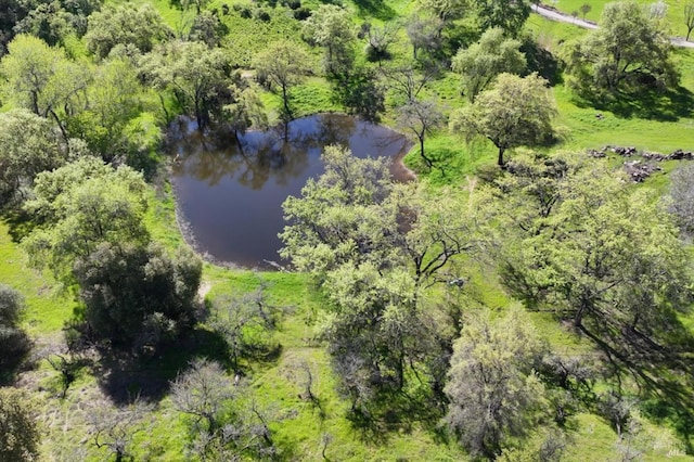 bird's eye view featuring a water view and a view of trees