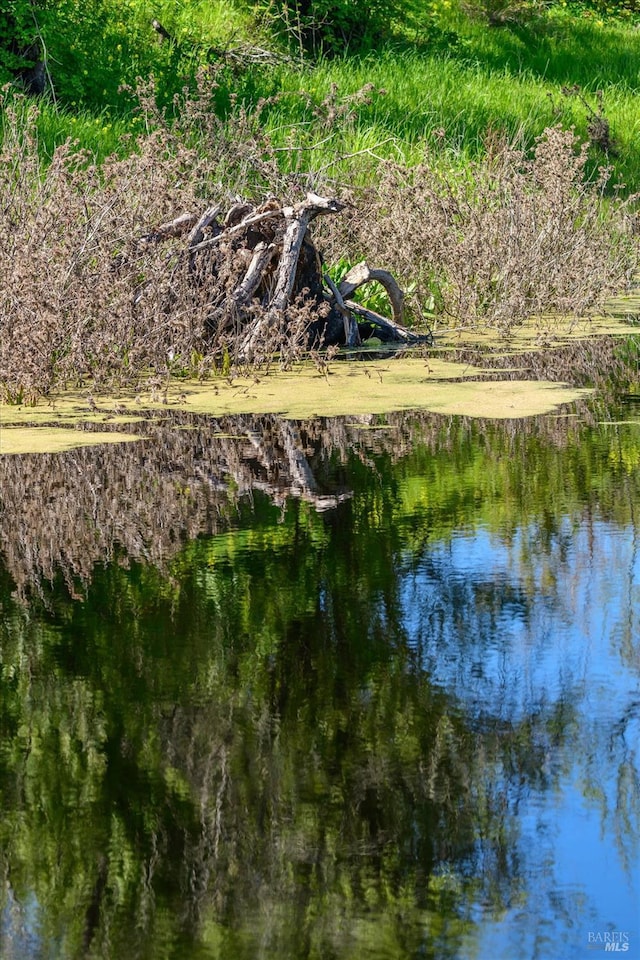 water view