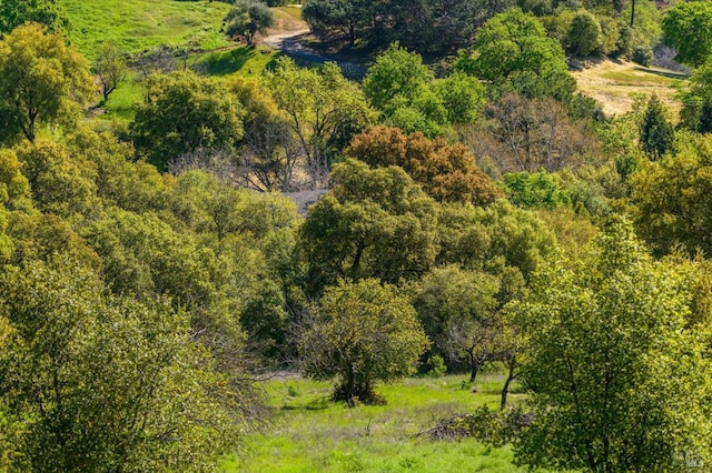 birds eye view of property with a forest view