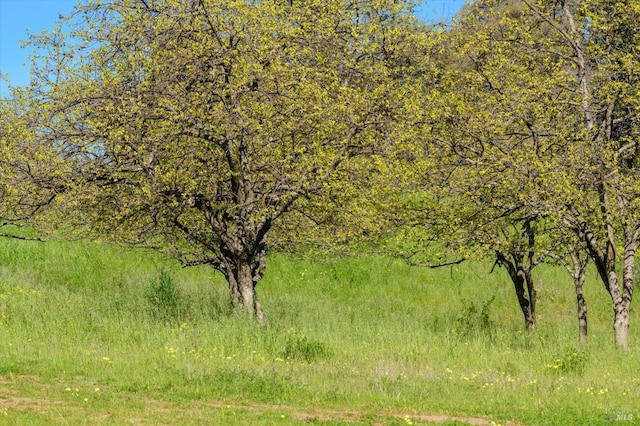 view of nature
