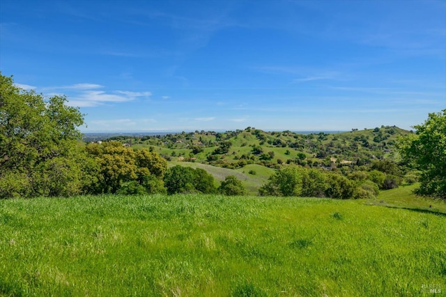 view of nature