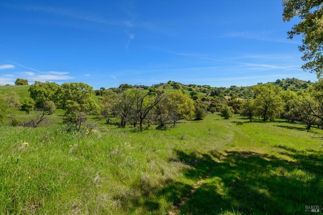 view of local wilderness featuring a rural view