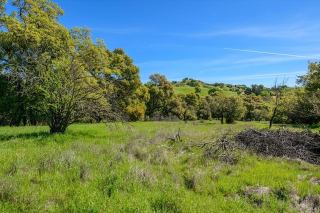 view of landscape with a view of trees