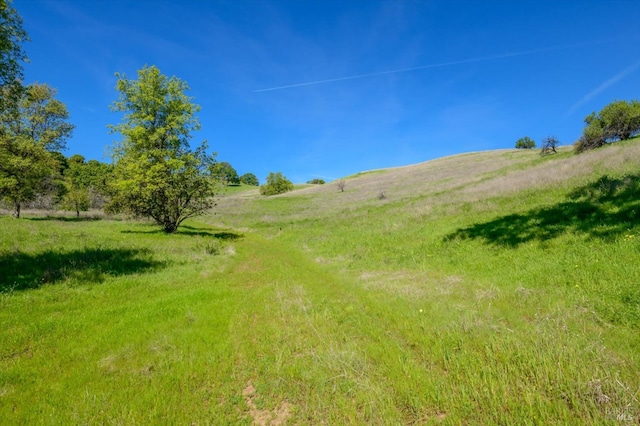 view of yard with a rural view