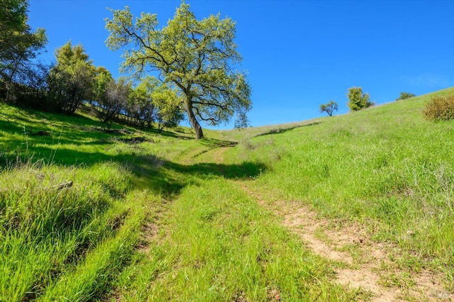 view of landscape with a rural view