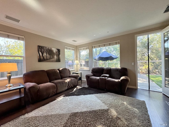 living room with crown molding, plenty of natural light, and dark wood-type flooring