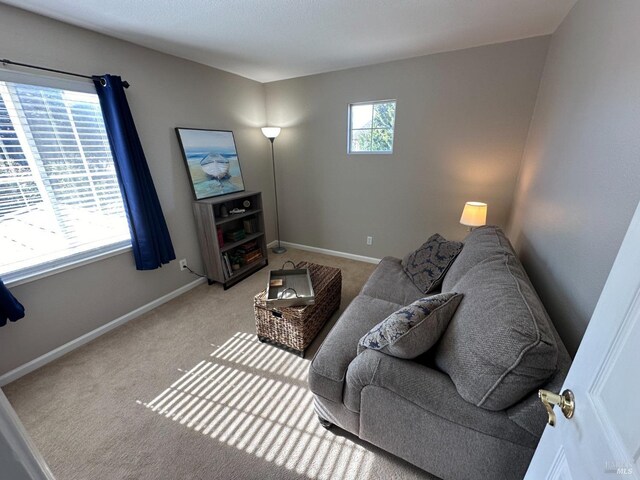 carpeted living room with plenty of natural light