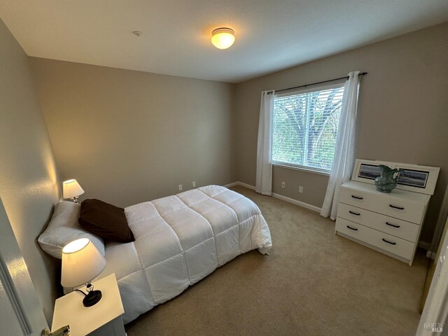 bedroom with a raised ceiling, ensuite bathroom, crown molding, and light carpet