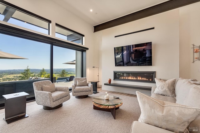 living room featuring a high ceiling, a glass covered fireplace, recessed lighting, and wood finished floors