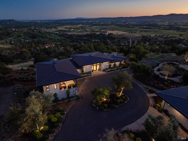 bird's eye view