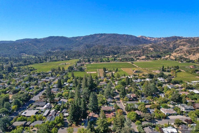 birds eye view of property featuring a mountain view