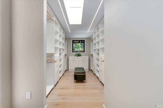 spacious closet featuring light wood-type flooring