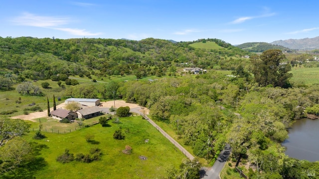 bird's eye view with a water view and a rural view