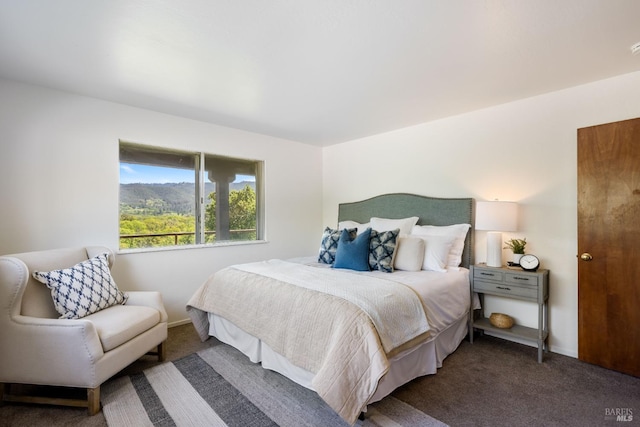 bedroom with dark carpet