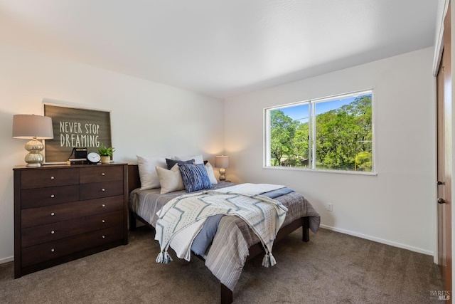 bedroom with carpet