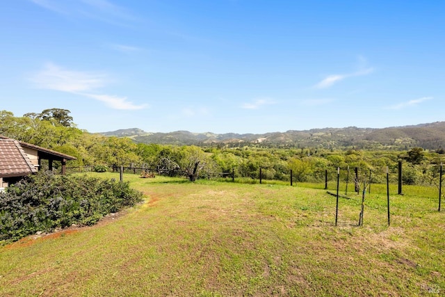 view of yard featuring a mountain view and a rural view