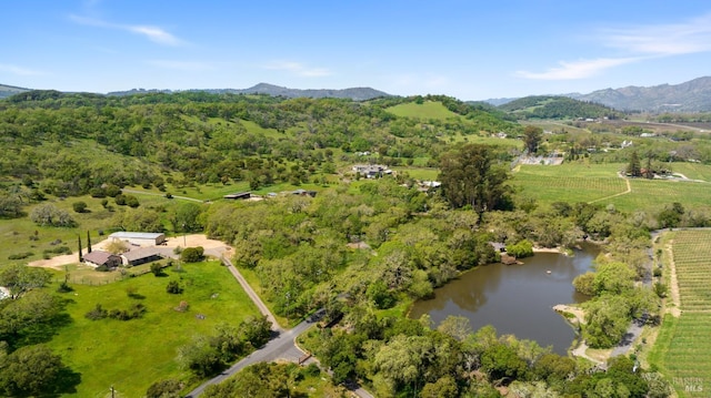 drone / aerial view featuring a rural view and a water and mountain view