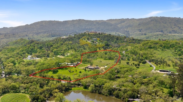 bird's eye view with a water and mountain view