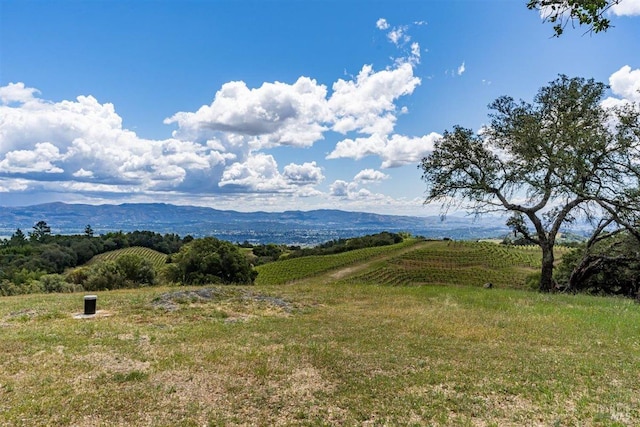 Listing photo 3 for 0 Dry Creek Rd, Napa CA 94558