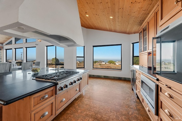 kitchen with appliances with stainless steel finishes, wood ceiling, plenty of natural light, and a center island