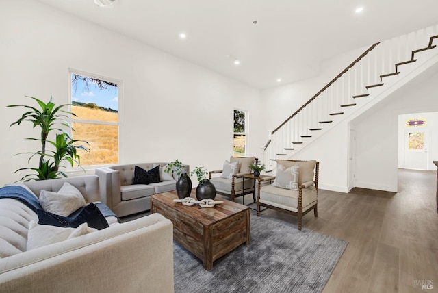 living room with dark wood-type flooring