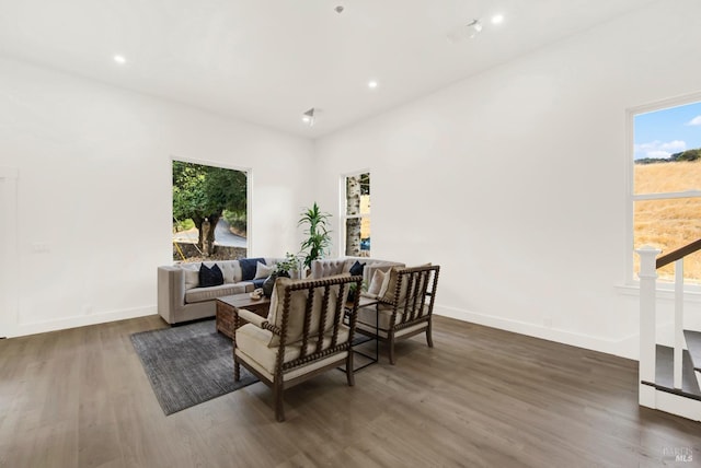 living room with dark wood-type flooring