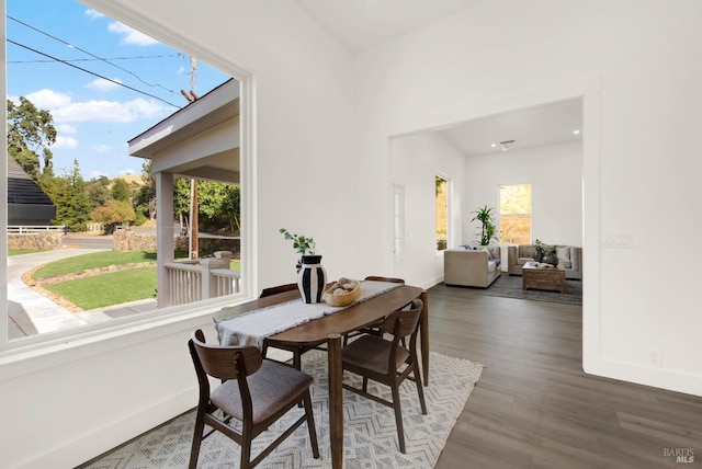 dining room featuring plenty of natural light and dark hardwood / wood-style flooring