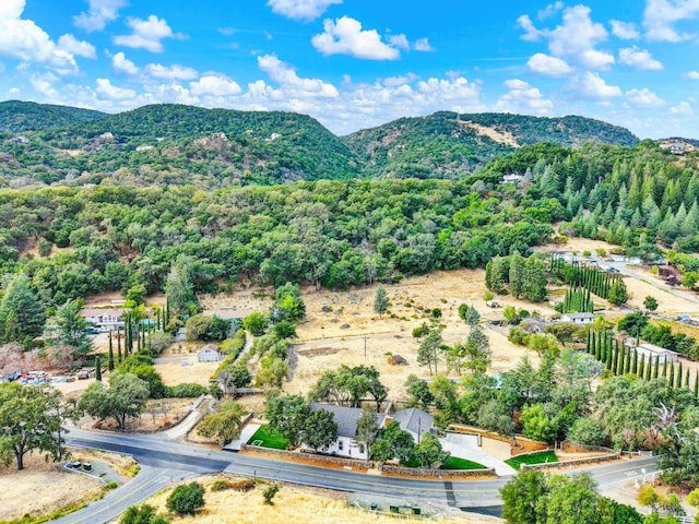 birds eye view of property featuring a mountain view