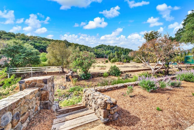 view of yard featuring a rural view