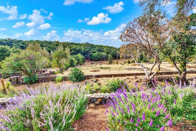 view of yard featuring a rural view