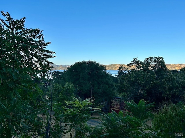 view of local wilderness with a water view