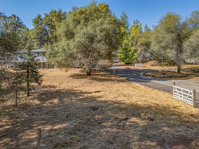 view of yard with a rural view