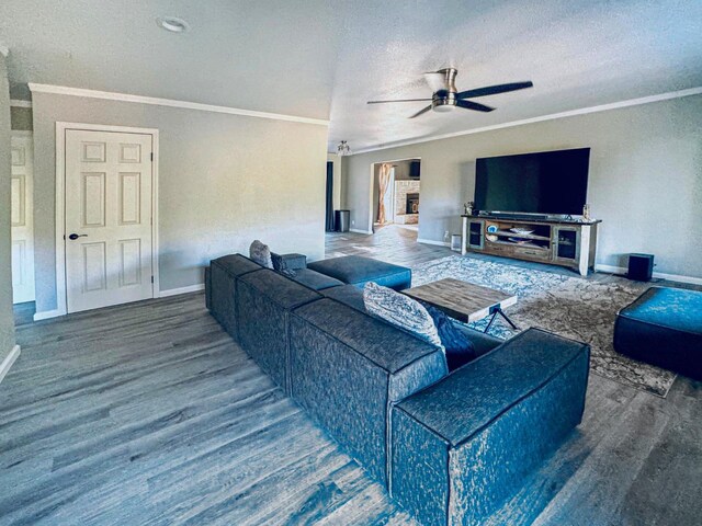 living room with hardwood / wood-style floors, a textured ceiling, and ceiling fan