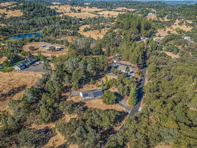 birds eye view of property with a water view and a view of trees