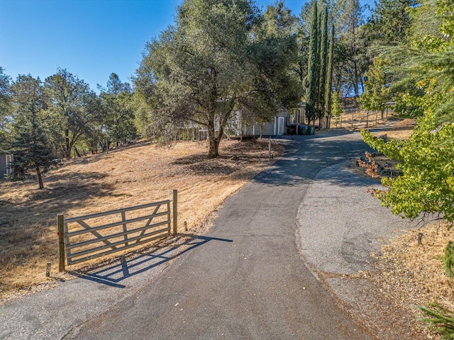 view of road with a rural view, driveway, and a gated entry