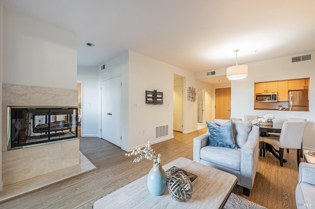 living room featuring wood-type flooring and a premium fireplace