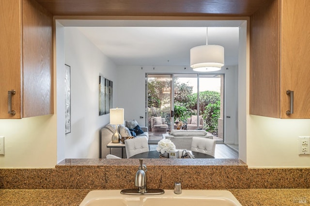 interior space with wood-type flooring, hanging light fixtures, and sink